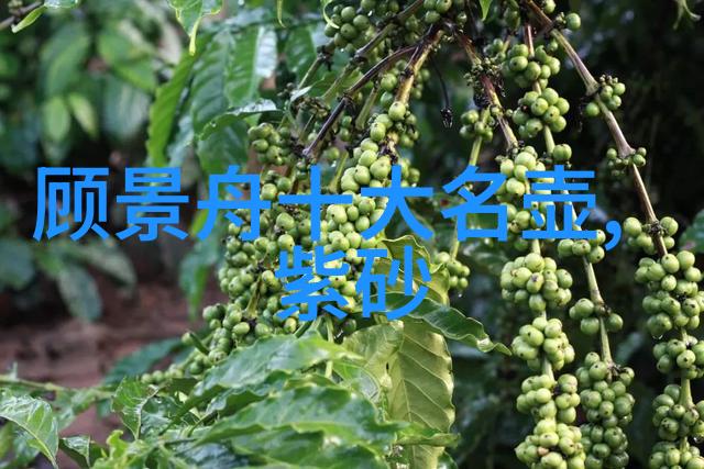 紫砂茶壶的基本知识要点