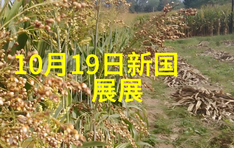2020抗疫阻击战雕塑作品征集通知