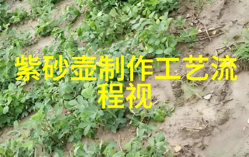 选购紫砂壶的要领